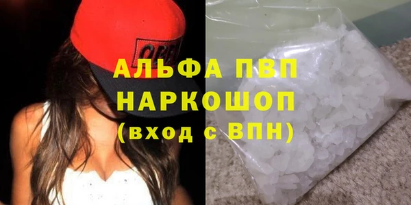 СК Белокуриха